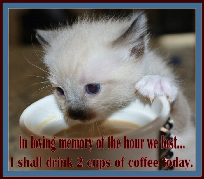 In loving memory of the hour we lost...I shall drink 2 cups of coffee today,